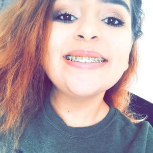 Meet your Posher, Harley